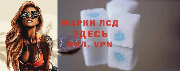 крисы Ельня