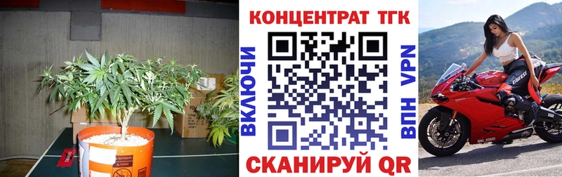 Дистиллят ТГК Wax  Купить  Тотьма 